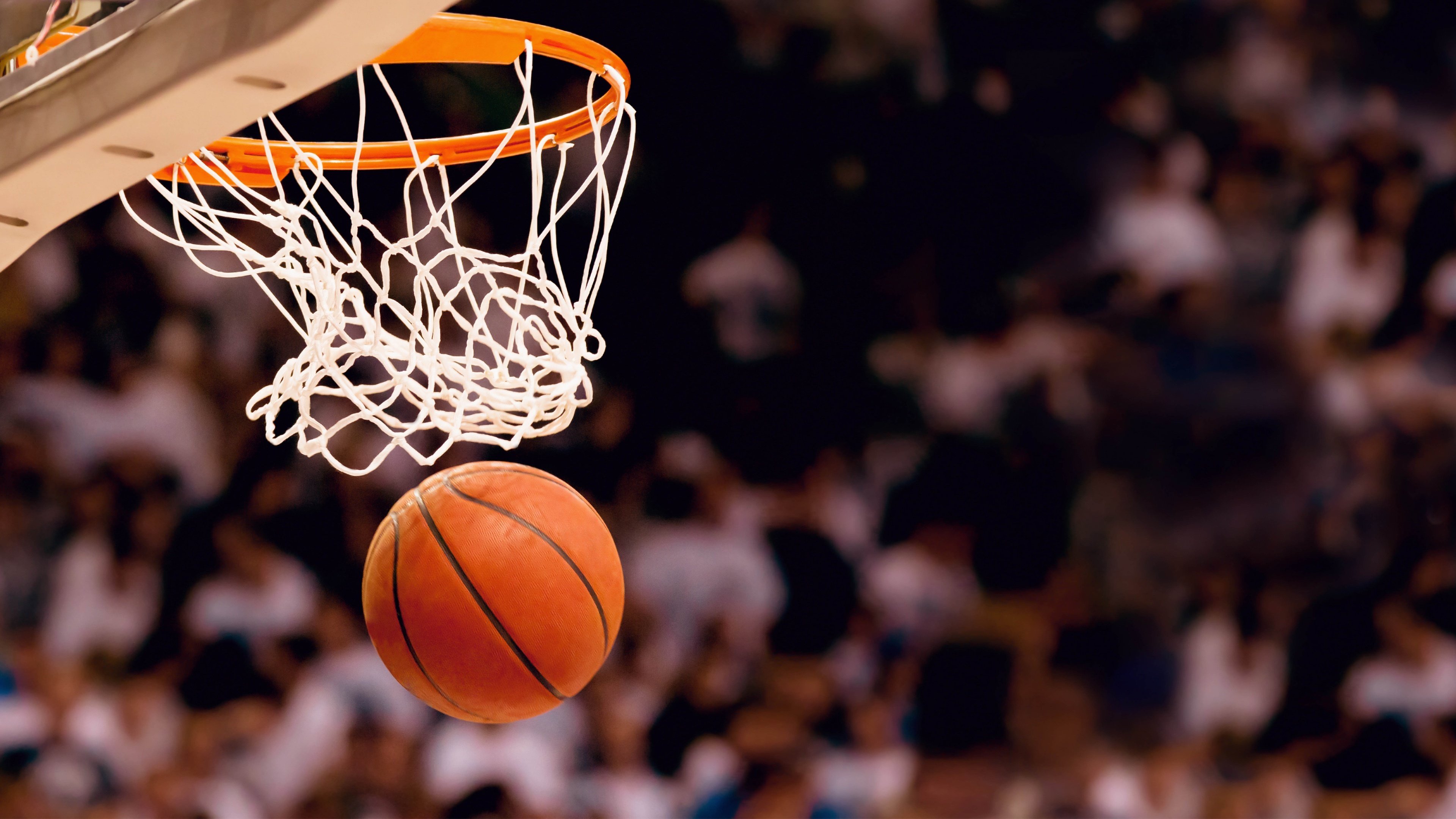 Kaiyun官方网站-高卢雄鸡列队致敬魔笛，绿茵江湖的尊重与风度，绿茵江湖的最高礼遇，高卢雄鸡列队致敬魔笛